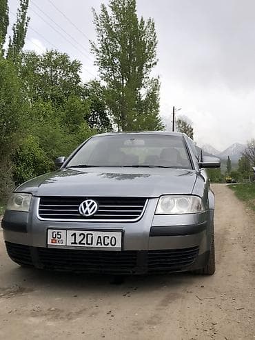 weltmeister ex5 500: Volkswagen Passat: 2001 г., 1.8 л, Автомат, Бензин, Седан — 6