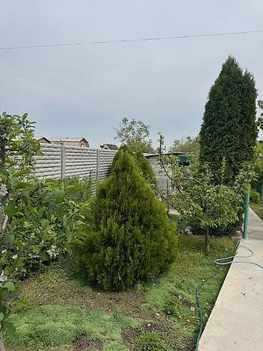 Недвижимость: Продаётся жилой дом с большим двором и капитальными постройками — 9