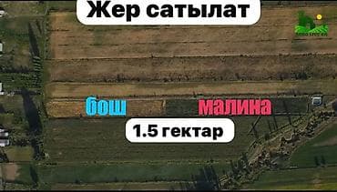 150 соток, Для бизнеса, Договор купли-продажи