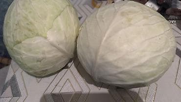 мясо продажа: Капуста Белокачанная — 2