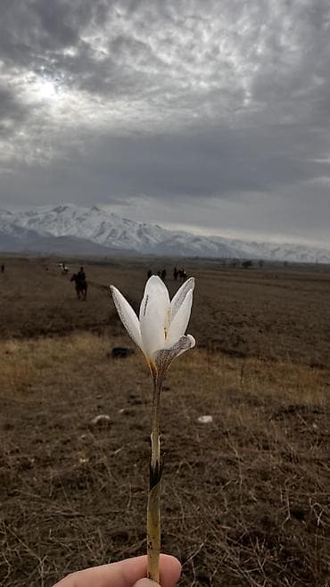 работу охраны: Семейный Малчы керек, айлык 30 000 сом, Карабалта — 1