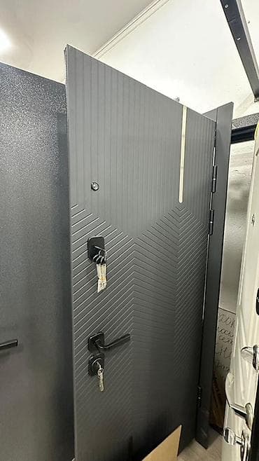 двери хайтек: Двери для домов и квартир, Металлическая, В стиле хай-тек, цвет - Серый — 1