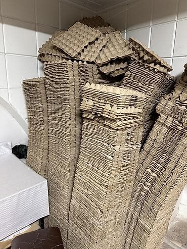 лоток для яйца: Лот: бумажные лотки для яиц (пресованный картон) 1500шт - Тип — 2