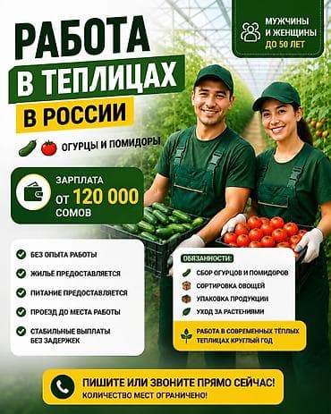 пишпек пекар: РАБОТА В ТЕПЛИЦАХ РОССИИ 💰 Зарплата от 120 000 сомов Требуются — 1