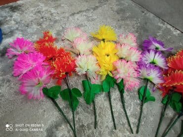 цветы искусственные бишкек: Цветы пластиковые искусственные цветы.
Длина 50см.
50с - 1шт — 7