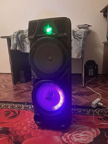 Динамики и колонки: Портативная акустическая система ZQS8210 (party speaker) с подсветкой — 1