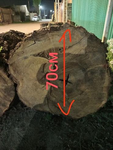 Тегерек жыгачтар: Ствольная заготовка из лиственной породы (бревно). - Порода — 3