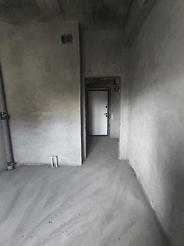 шашлычный: 1 комната, 38 м², Элитка, 5 этаж — 9