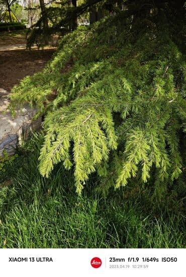 xiaomi 12t цена бишкек: Xiaomi, 13 Ultra, Колдонулган, 256 ГБ, түсү - Кара, 2 SIM — 7