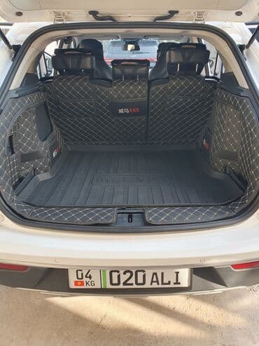 ош машине: Weltmeister EX5, 2020 г., 60000 км, Алдыңкы, Бар — 10