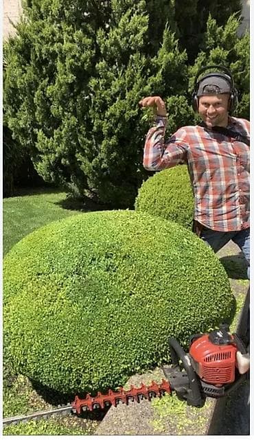 эра бетон: Профессиональная стрижка живых изгородей и декоративных кустарников — 1