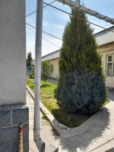 прадаю дом ак орго: 264 кв. м, 5 бөлмө, Кондиционер, Унаа токтотуучу жай, Видео байкоо — 2