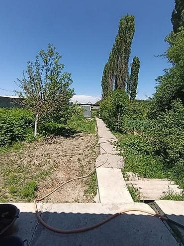 частный дом: Продаётся жилой дом с большим приусадебным участком.Участок 15 соток — 5