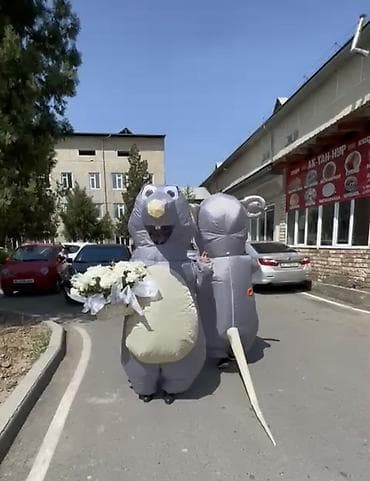 Г. Ош
 Надувные костюмы «Крысы» для аниматоров/ивентов

Аренда