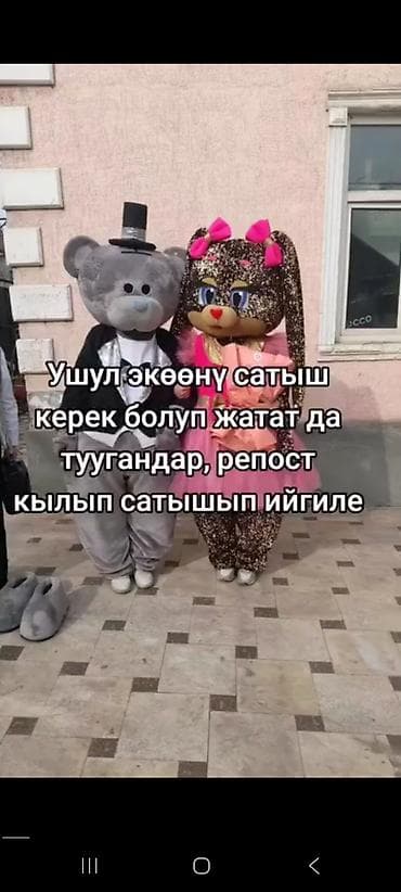 Мишка,Зайка сатылат срочна баасы келишим турду at lalafo.kg Мишка,Зайка сатылат срочна баасы келишим турду
