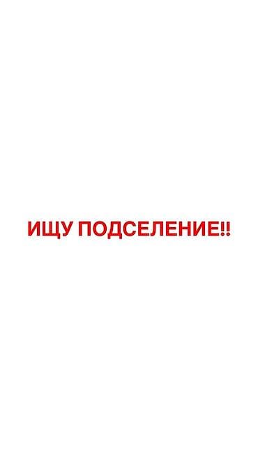 Ищу студентку или двух студенток на подселение 🏠 Ищем 1–2 студенток at lalafo.kg Ищу студентку или двух студенток на подселение 🏠 Ищем 1–2 студенток