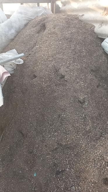 биогумус: Опилка майда эленген . Бишкек район Дордой — 1