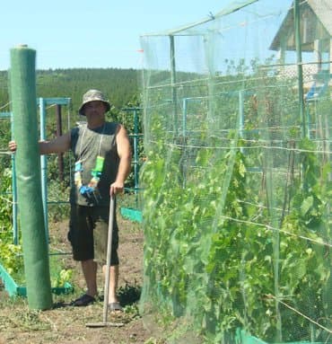 затеняющая сетка для огорода цена: Үй жана бакча үчүн декор — 3