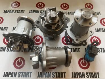 где купить саженцы гортензии в бишкеке: Помпа Toyota Новый — 1