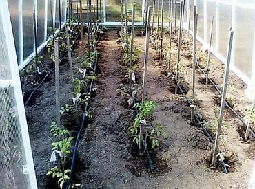 Газон под ключ🔑 Автоматический полив фирмы Хантер🔥 Лучшие европейские — 9