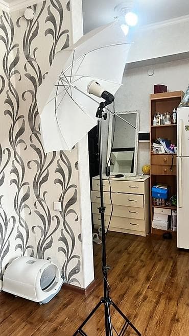 накмерный свет: ‼️🚨Срочно🚨‼️ В связи с переездом продаю студийный цвет. Умный — 4