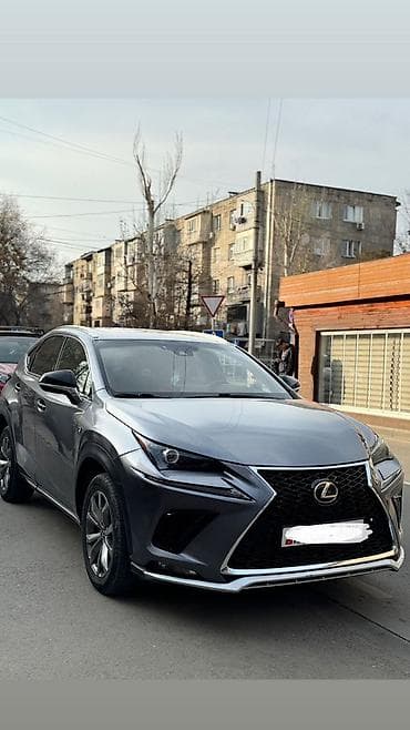 серый gac aion s: Lexus NX: 2018 г., 2 л, Автомат, Бензин, Кроссовер — 2