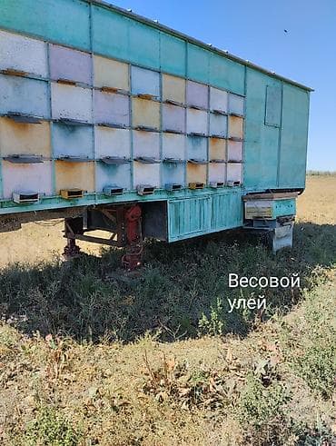 аппарат для корма: Продаю: Пчеловагон ( цех по производству меда) на 72 семьи (полная — 2