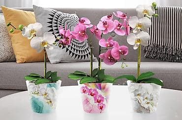 Горшок для цветов с дренажной вставкой InGreen коллекция London Orchid