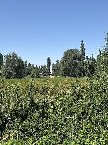 бир: 15 соток — 3