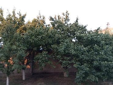 ул белорусская: Продается не большой кирпичный 3-х комнатных.дом.Цена договорная район — 4