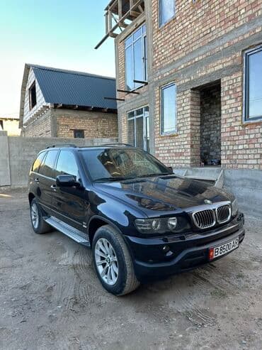 BMW X5: 2003 г., 3 л, Автомат, Бензин, Кроссовер