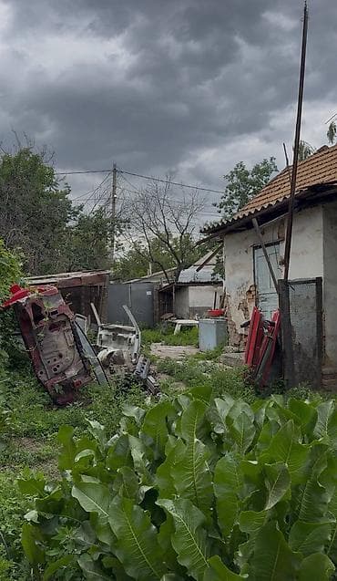 Жер тилкелери: 5 соток — 3