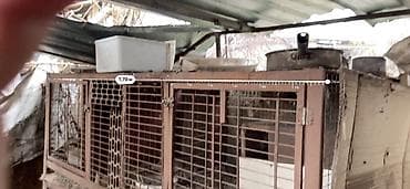 Услуги ветеринара: Продаю клетки для кроликов Можно и для нутрей внутри перегородки — 3