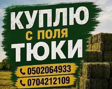 microsoft office: Услуга: закупка тюков с поля. Описание: - Покупаем тюки сена/соломы — 1