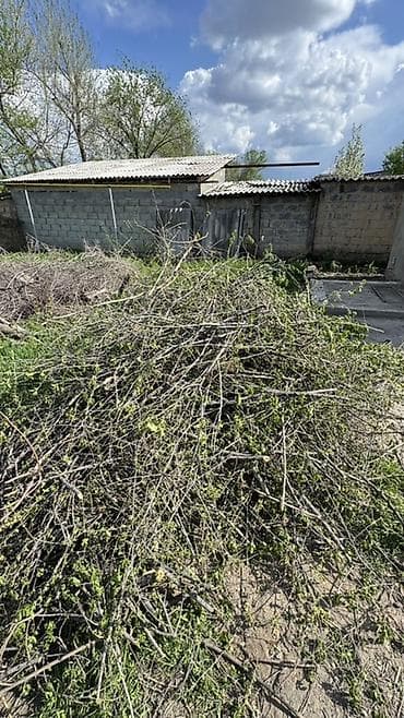 кукурузные стебли: Дрова Самовывоз — 3