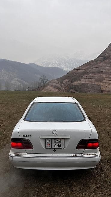 Транспорт: Mercedes-Benz E-Class: 2001 г., 4.3 л, Автомат, Бензин, Седан — 4