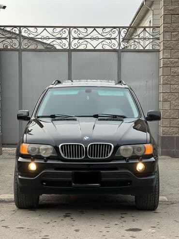 BMW X5: 2002 г., 4.4 л, Автомат, Бензин, Внедорожник