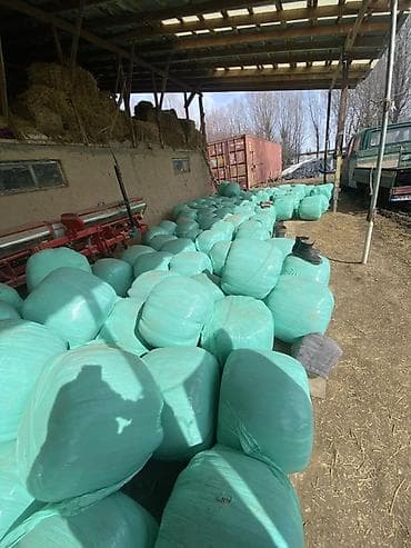 А/ч жаныбарлары үчүн тоюттар: Силос в индивидуальной упаковке (рулонные тюки в плёнке) - Заготовка — 1