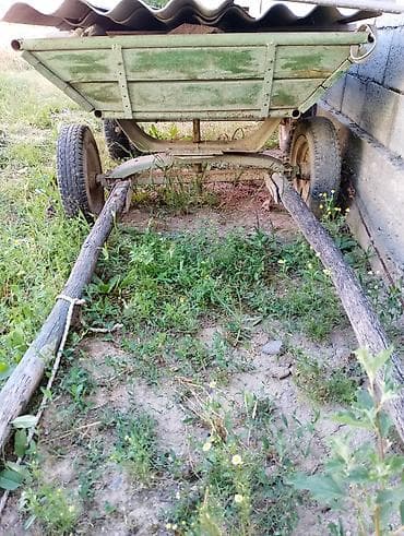 японский тоок: Повозка для Ишака 20 тыс — 3