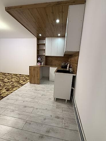 1 комната, 18 м², Элитка, Цокольный этаж этаж, Косметический ремонт