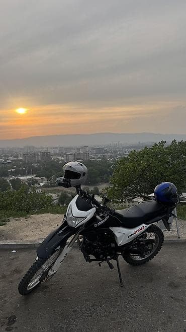 Эндуро 250 куб. см, Бензин, Взрослый