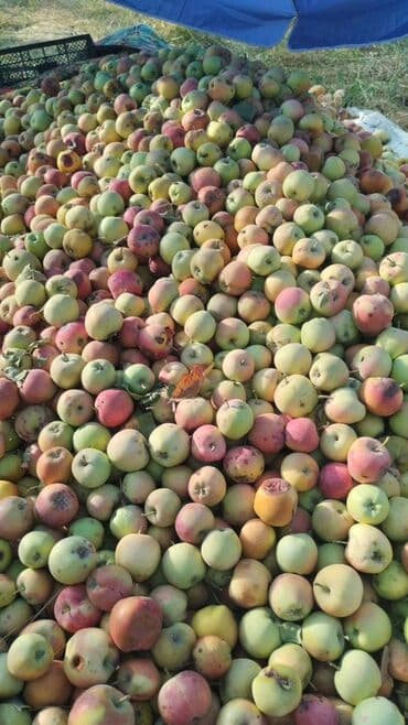 кухонный буфеты: Яблоки — 1