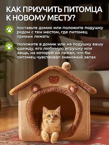 Үй жаныбарлары: 🐾 Уютный мягкий домик-лежанка для кошек и маленьких собак! NEW — 10