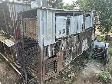продаю кролов: Продаю кролятники вместе с кроликами самовывоз кроликов 15 -16 — 1