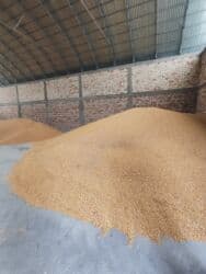 продаю связи с переездом: Продаю кукурузу оптом
кукуруза
жогору — 2