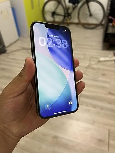 диспи: IPhone 13 Pro, Графит — 3