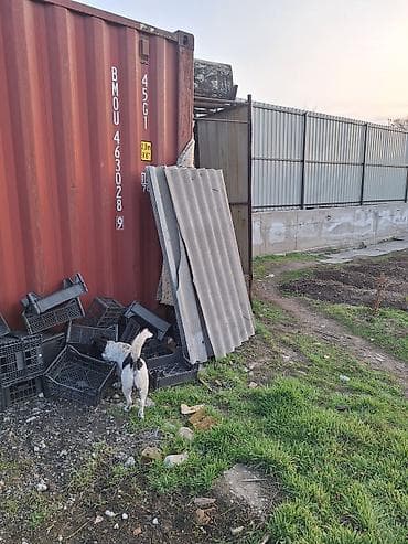 спец одежда бишкек: Продаю
Б/У шифер 200 сом 
пл. окно 3000 сом 
с.Новопавловка — 2