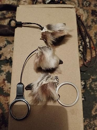 секонд обувь: Брелоки-талисманыиз Волчих зубов коктей,,и альчикоа Состав и — 3