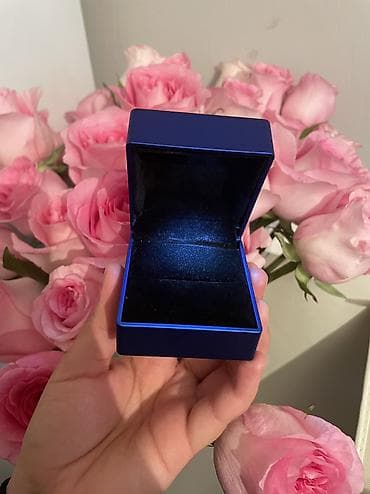 чехол на хр: Коробочки для ювелирных изделий с подсветкой - Назначение: футляры — 10