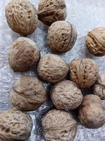Хозтовары: Грецкий орех оптом. Мелкиетонкорые, ядро темное, 15 кг по 100 сом — 1